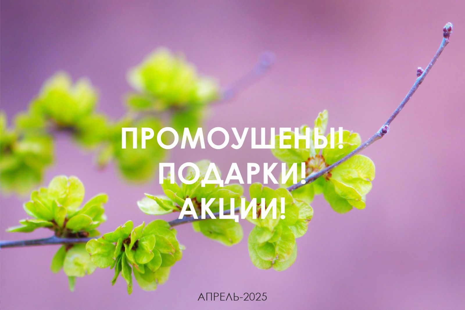 Новости на Апрель-2025. Промоушены! Подарки! Акции!